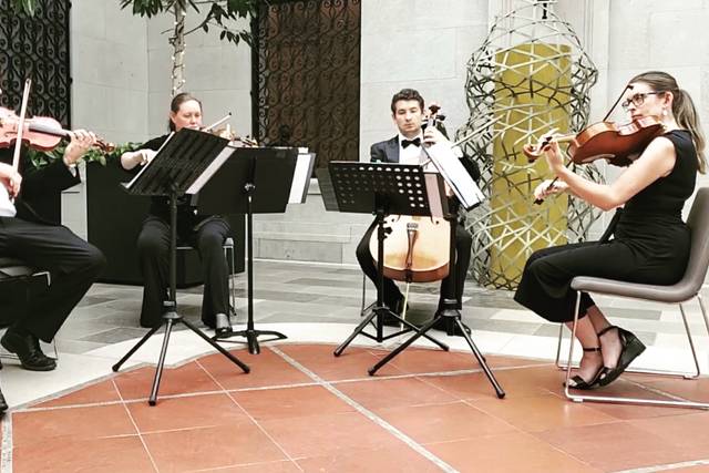 String Quartet