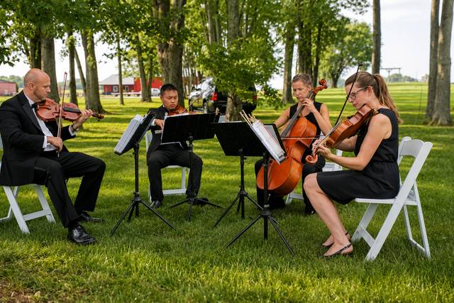String Quartet