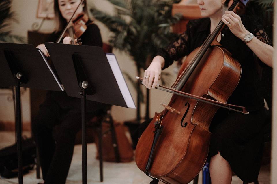 String Duo