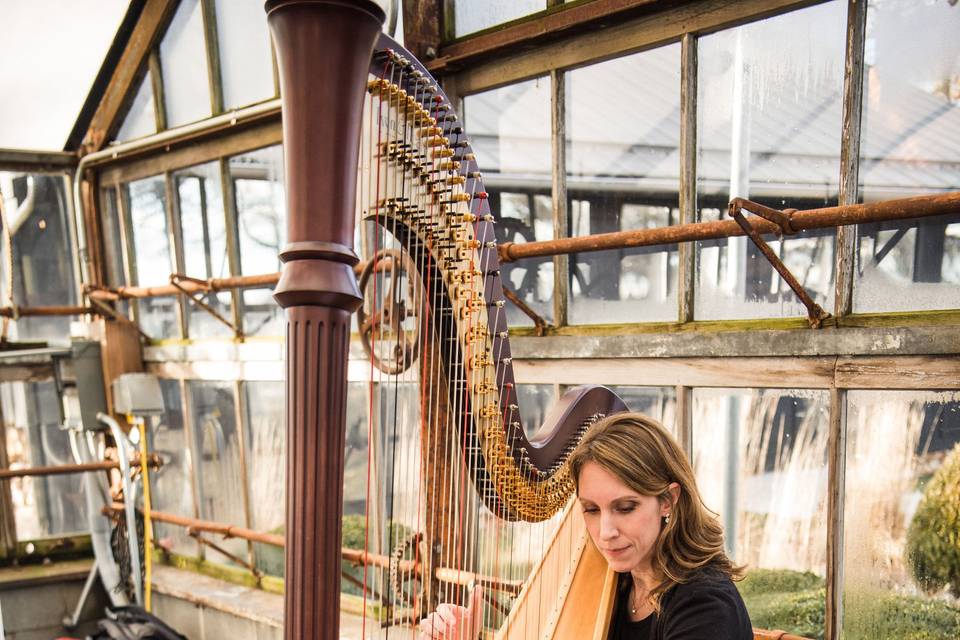 Harpist - Tiffany Envid Jones