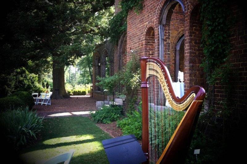 Harpist - Tiffany Envid Jones