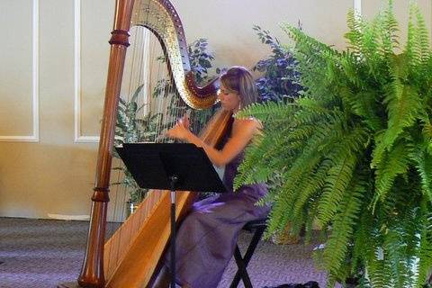 Harpist - Tiffany Envid Jones