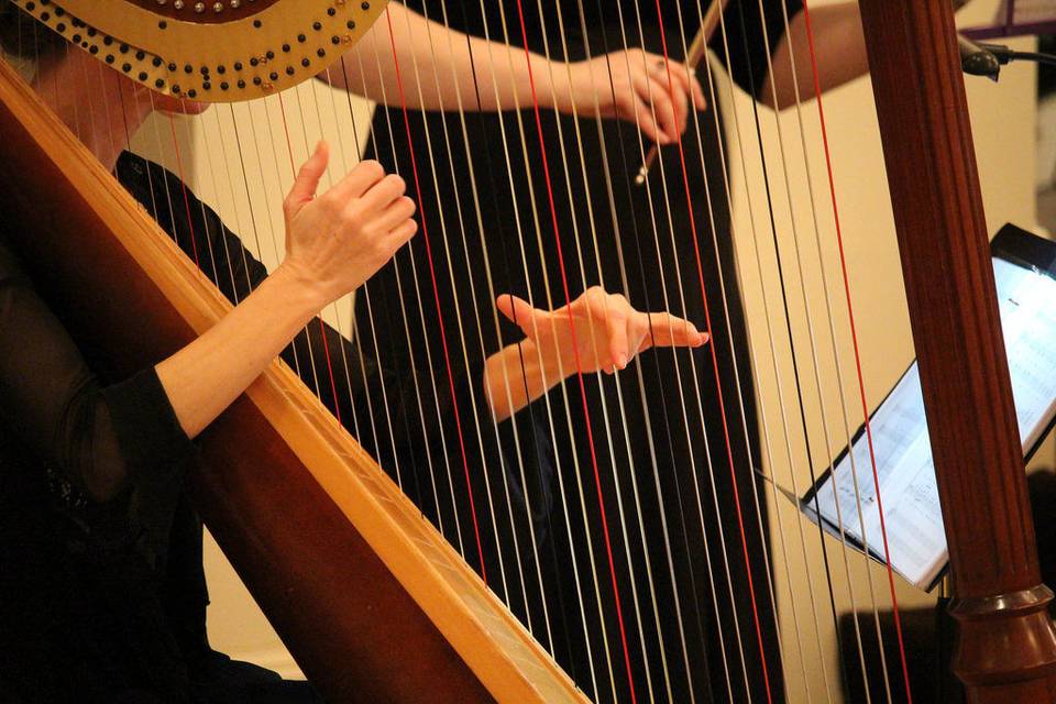 Harpist - Tiffany Envid Jones