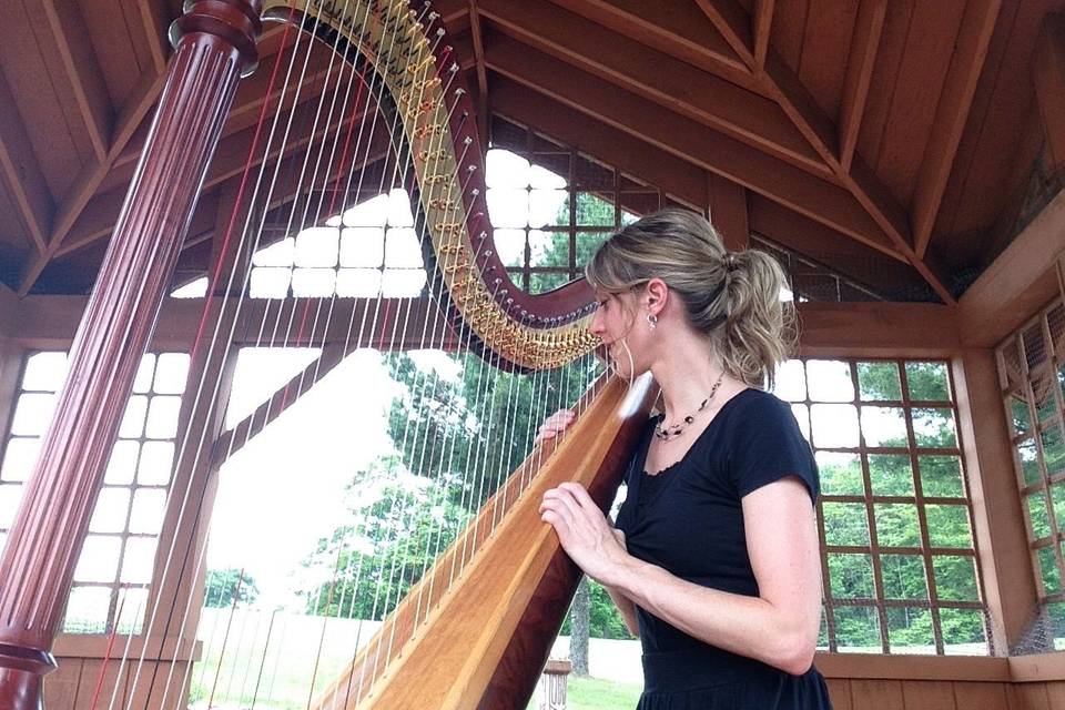 Harpist - Tiffany Envid Jones