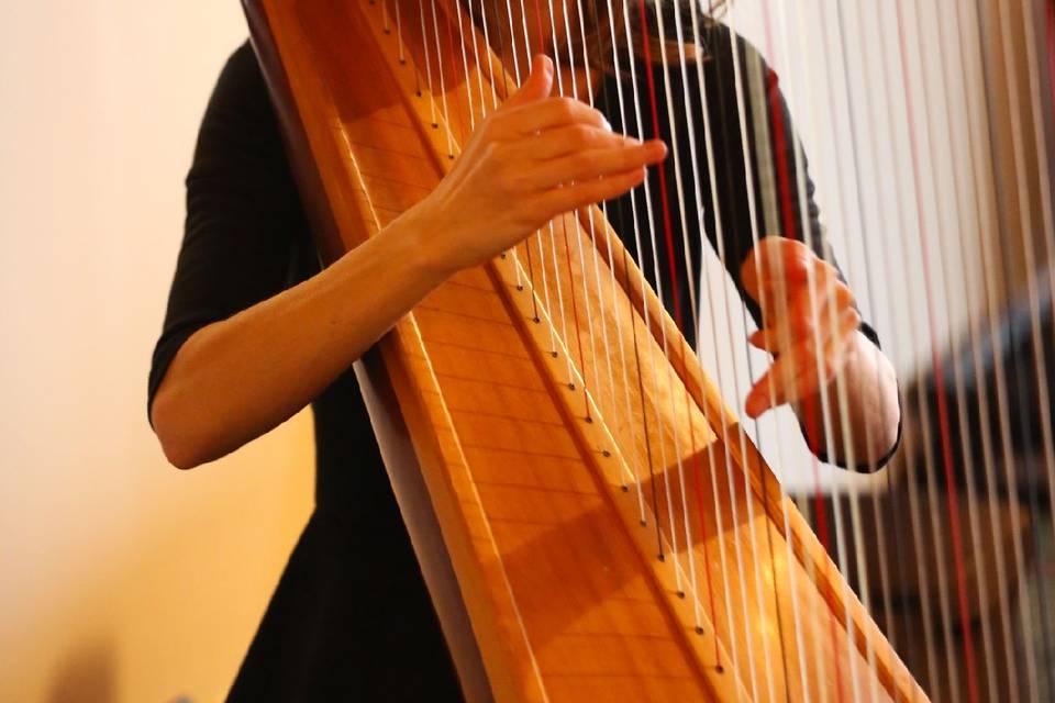 Harpist - Tiffany Envid Jones