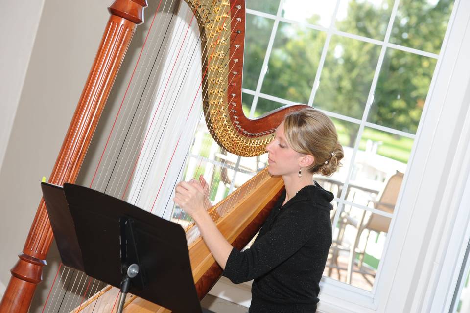 Harpist - Tiffany Envid Jones