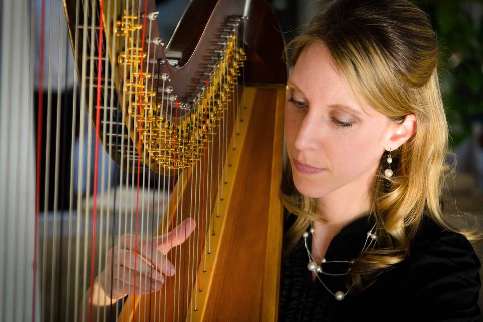 Harpist - Tiffany Envid Jones