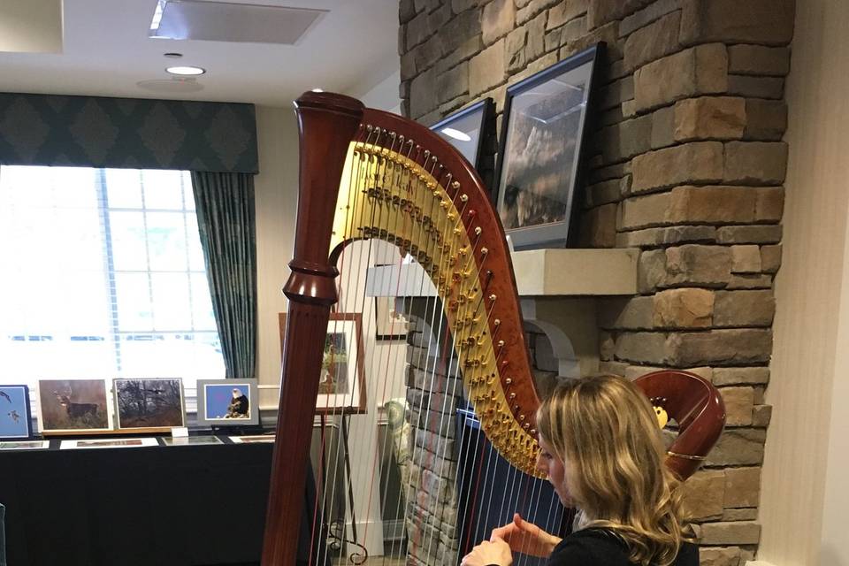 Harpist - Tiffany Envid Jones