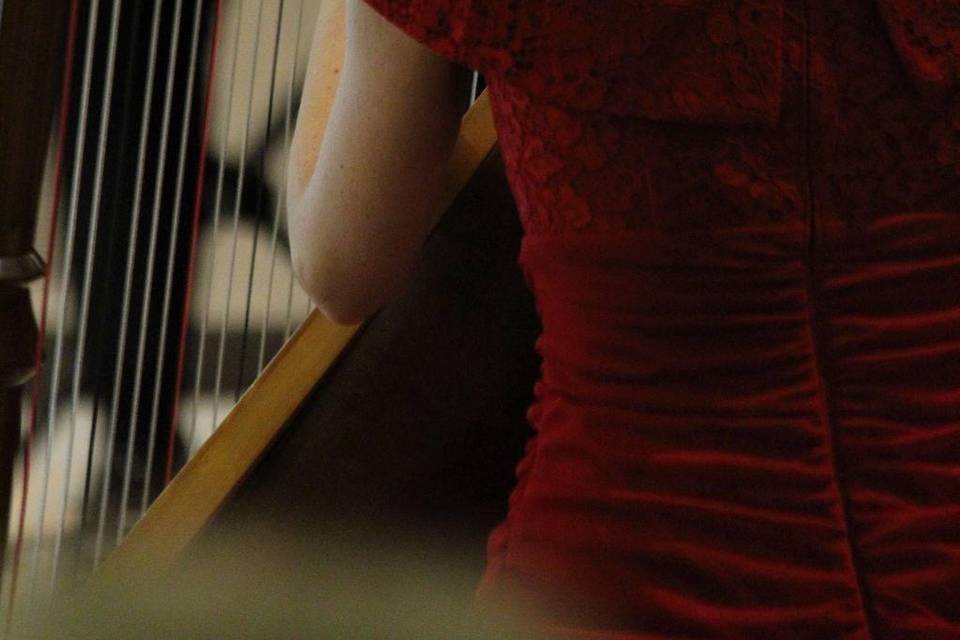 Harpist - Tiffany Envid Jones