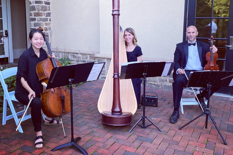 Harp, violin and cello trio