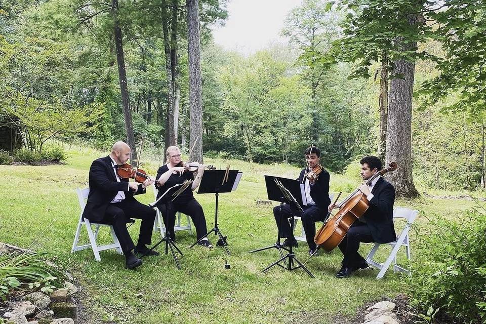 String Quartet