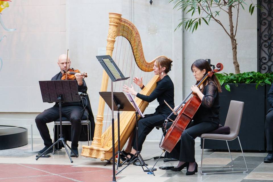 Harp Trio - Ceremony