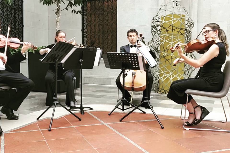 String Quartet