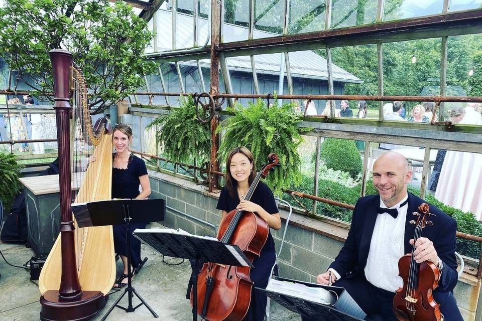 Wedding Ceremony