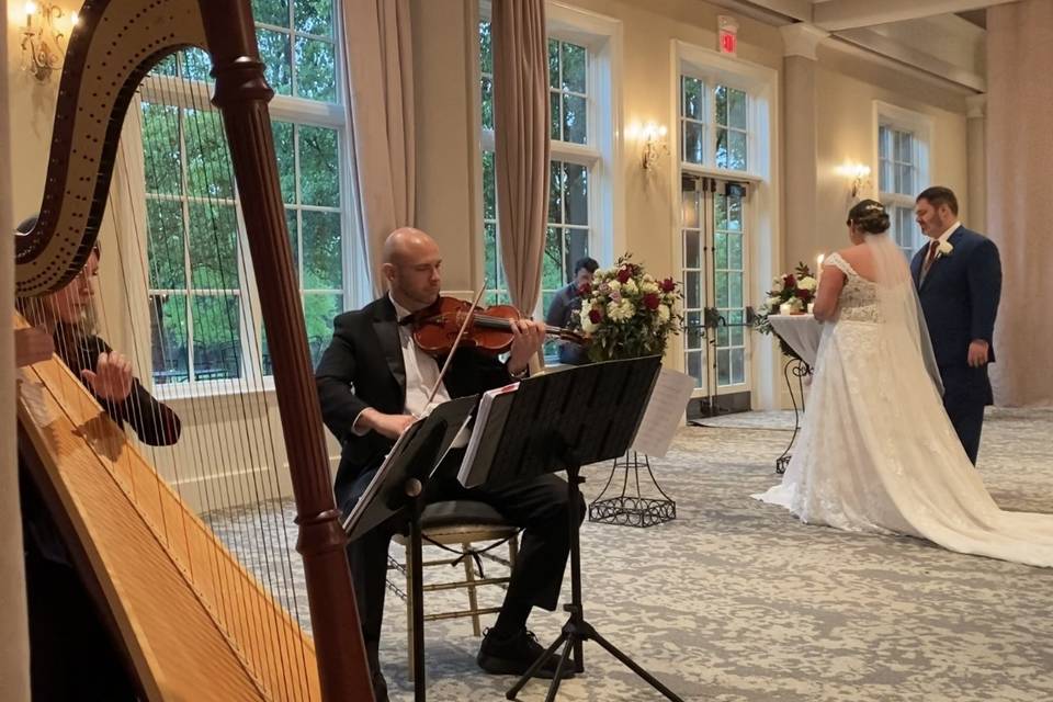 Harp and violin