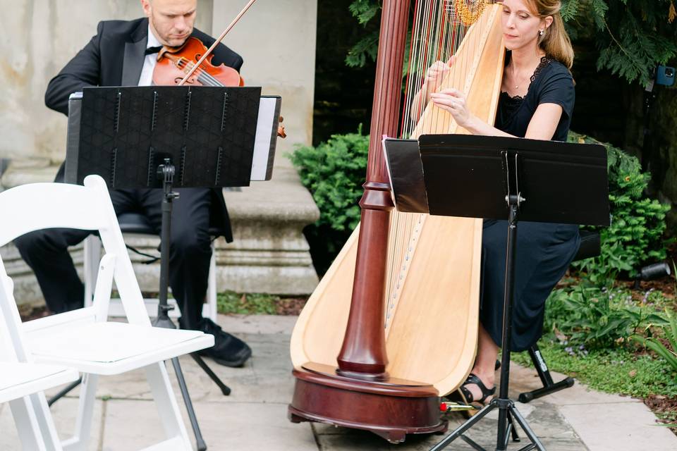 Harp and violin