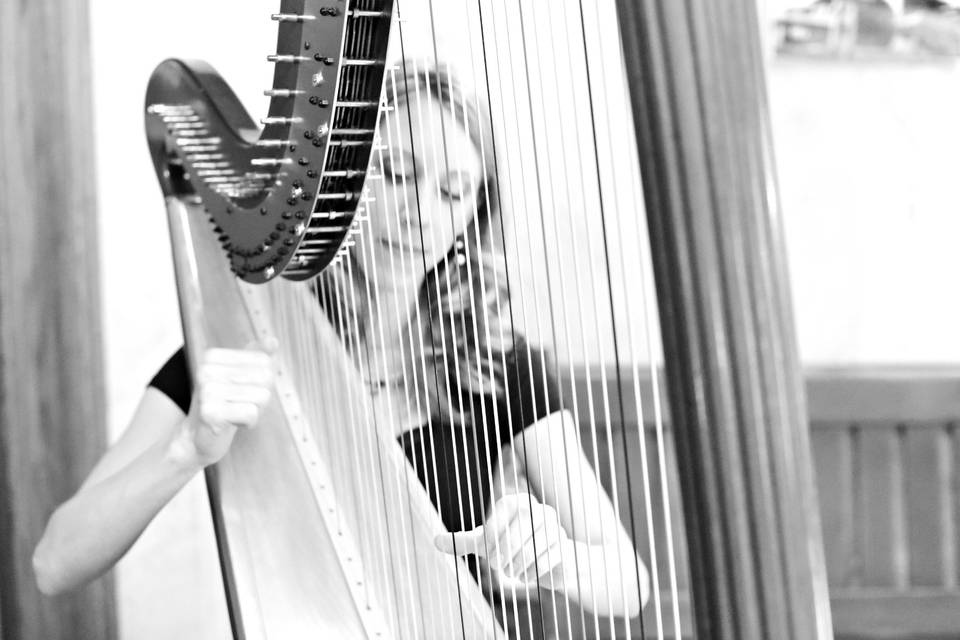 Harpist - Tiffany Envid Jones