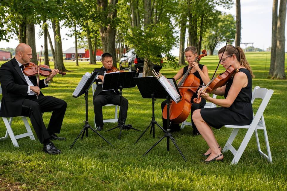 String Quartet