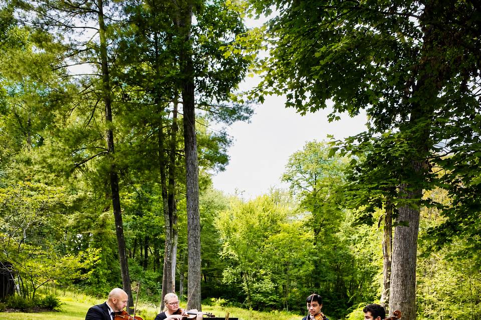 String Quartet - wedding