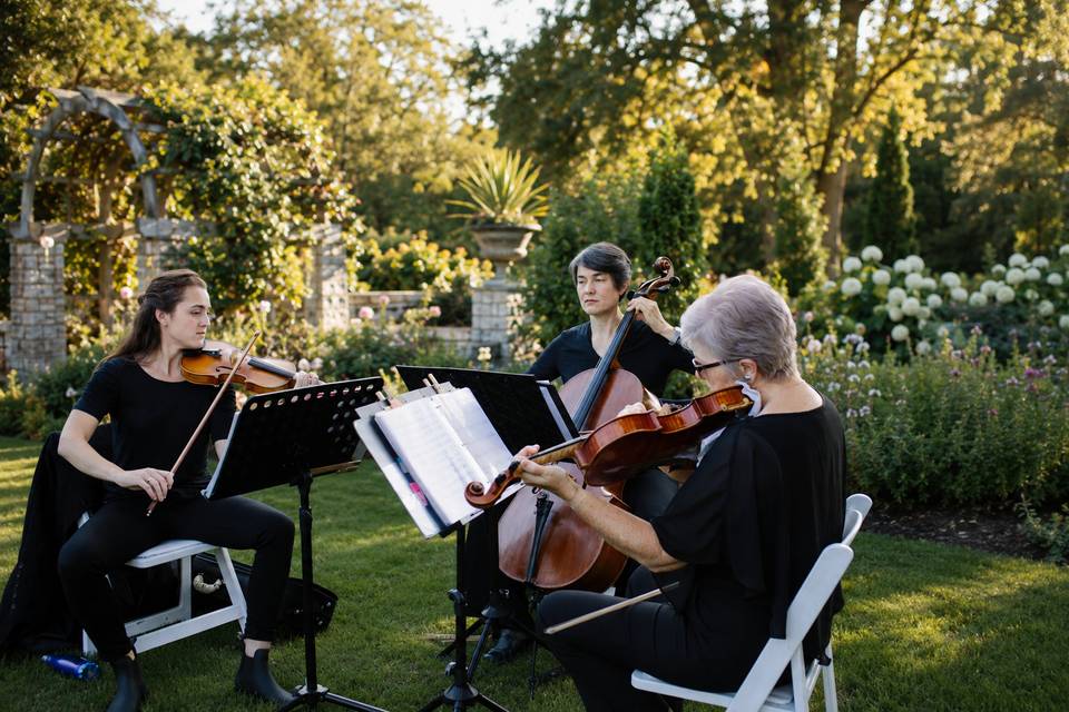 String Trio