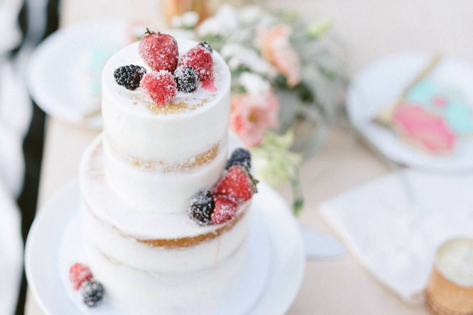 Elegant naked cake