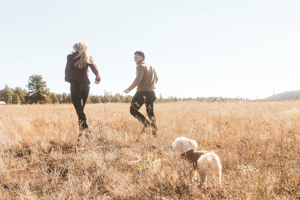 Engagement photos