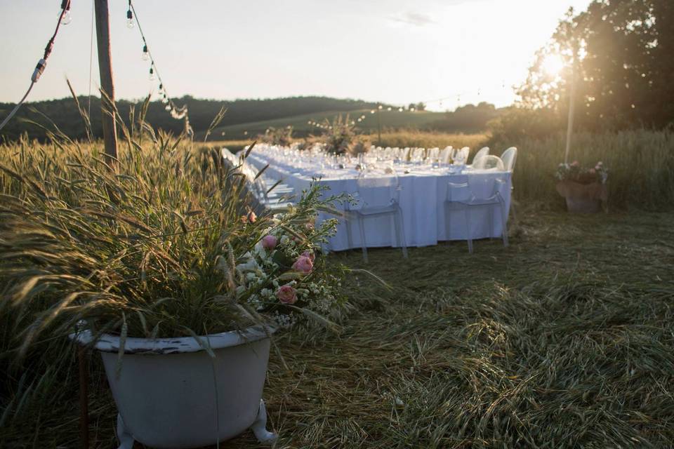 Tenuta di Papena