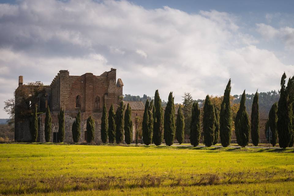 Tenuta di Papena