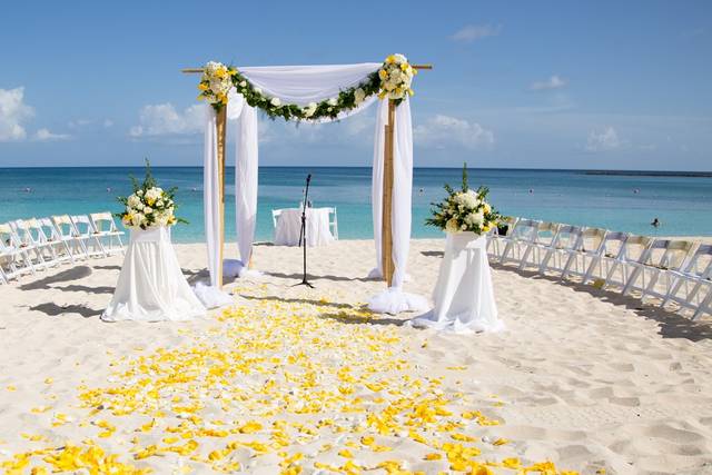 ANNA'S WEDDING PLANNING