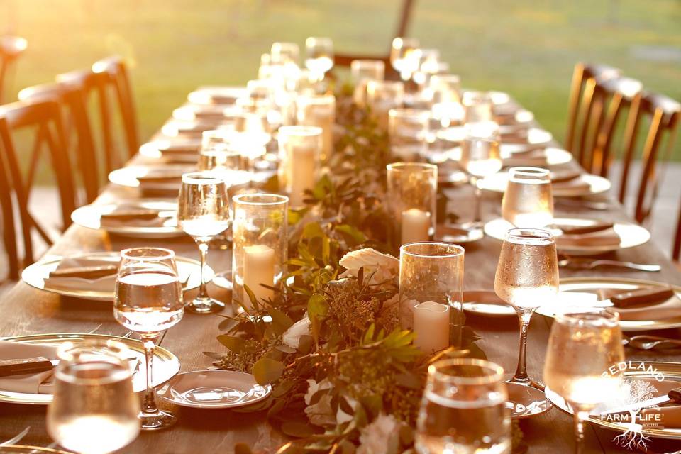 Long table setup