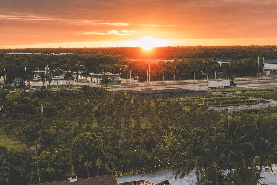 Aerial View at Sunset
