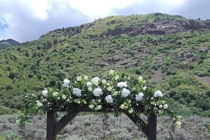 Arch Backdrop