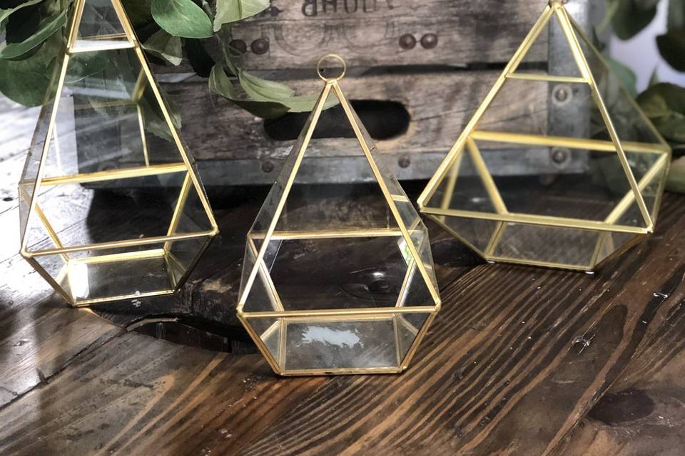 Gold & Glass terrariums