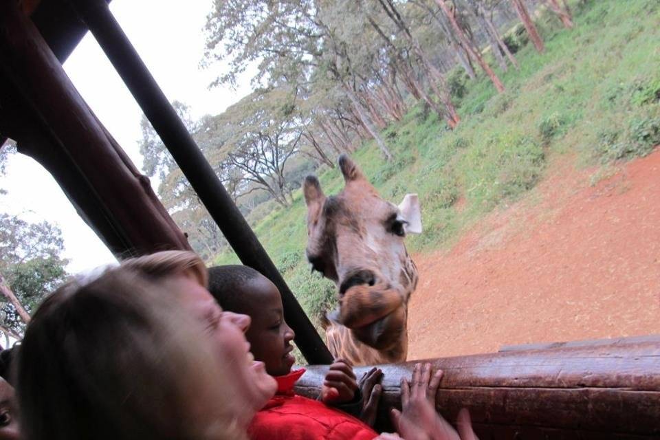 Curious Tourist Travel