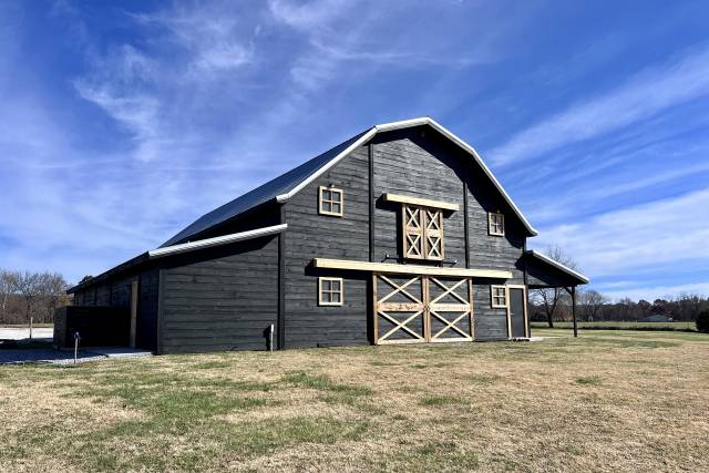 Dress hotsell barn florence