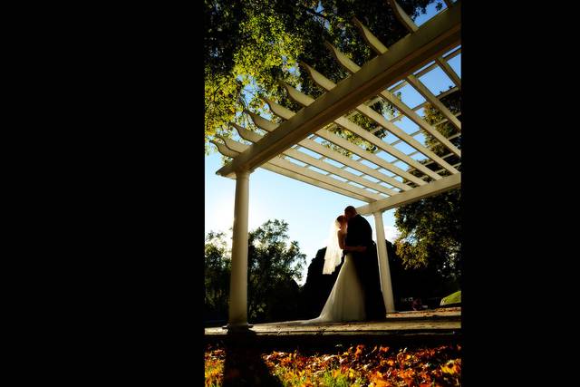 Iris Leaf Photography