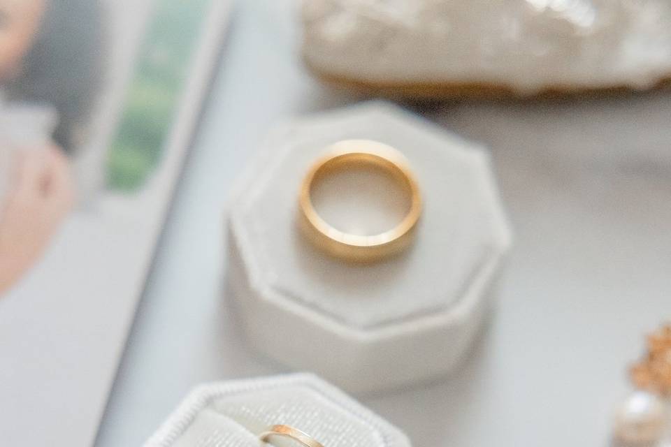LDS DC Wedding
