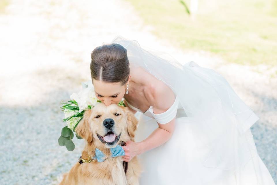 Bride with Dog