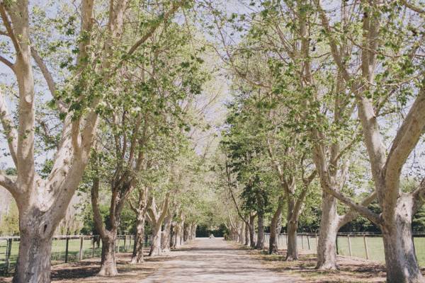 Whispering Rose Ranch