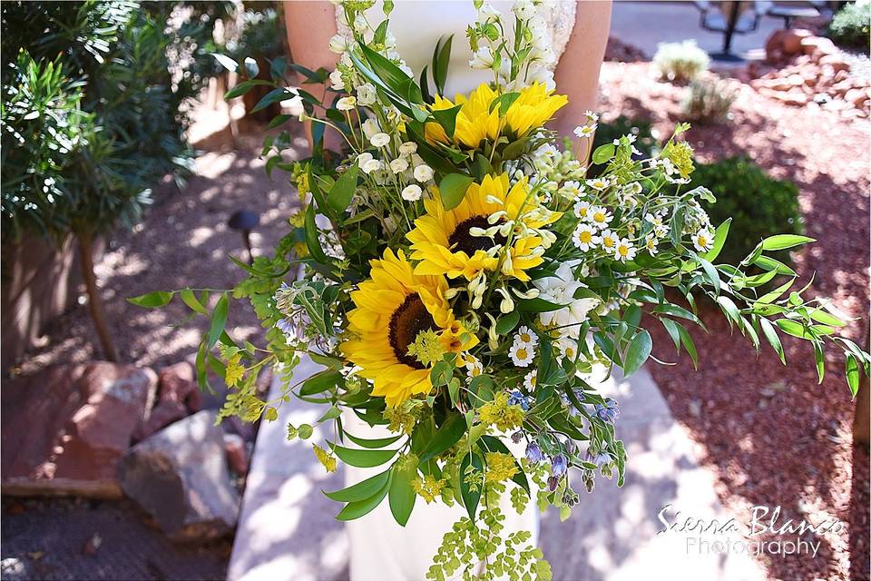 Weddings In Sedona, Inc.