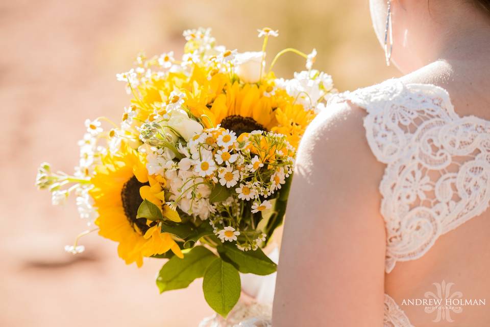 Weddings In Sedona, Inc.