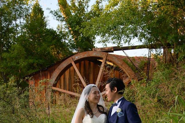 Weddings In Sedona, Inc.