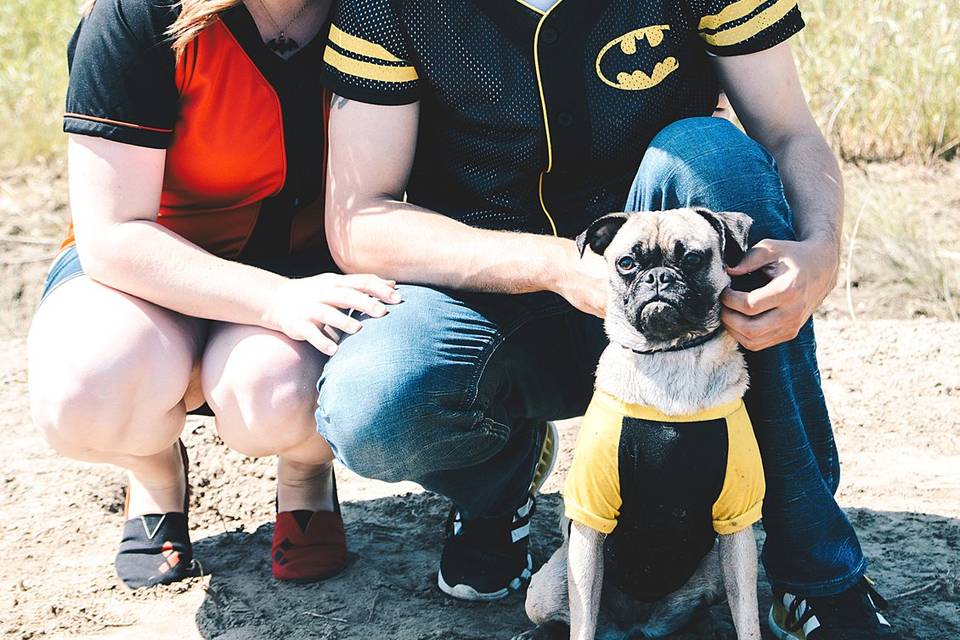 Batman! and dogs!