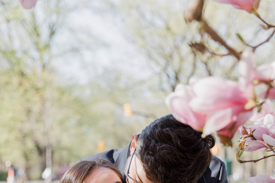 Engagement in Central Park