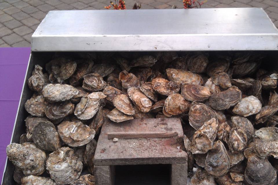 Superior Oyster Shuckers