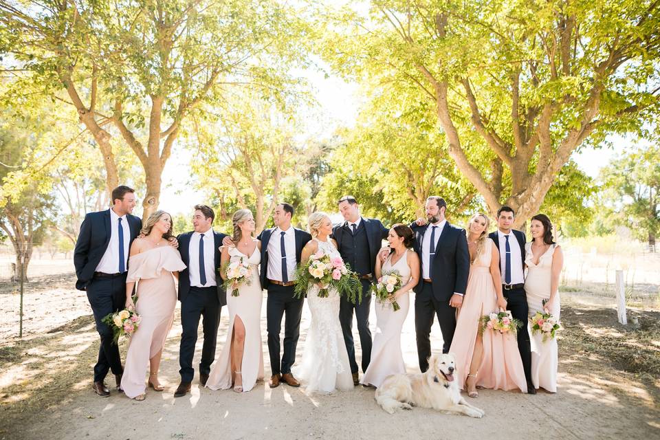 Wedding party