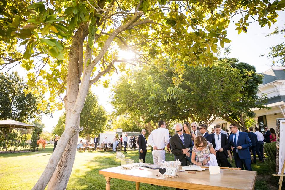 Reception