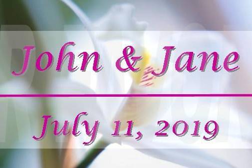 Pretty Floral background with Bride and Groom's Names and date - Font can be in any color! Like this design but want a different type of flower in the background, just let us know and we'll create one that works perfectly for you!
Order online at www.srfavors.com design code W249