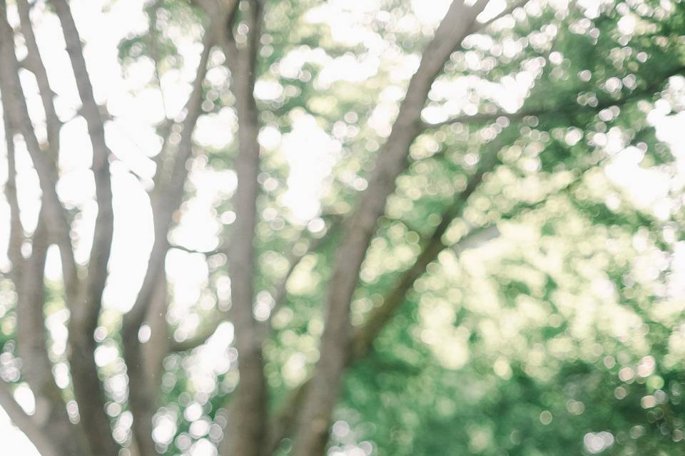Seattle Wedding