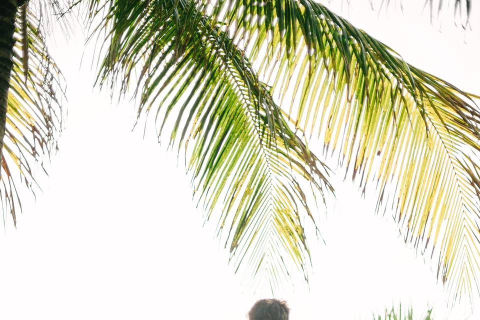 Elopement in Miami